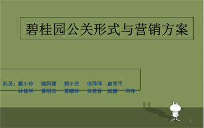 碧桂園營銷詳盡方案與公關(guān)活動(dòng)策劃